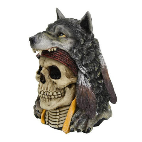 Indian Wolf Skull