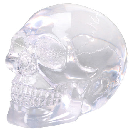Small Translucent Skull Head