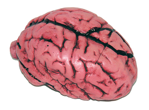 Latex Brain Halloween Decor