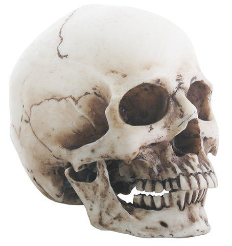 Small Skull Head - Highway Thirty One