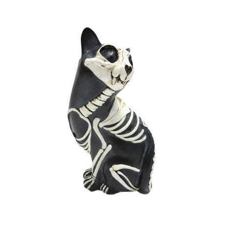 Day of the Dead Cat