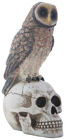 Owl on Skull - Highway Thirty One