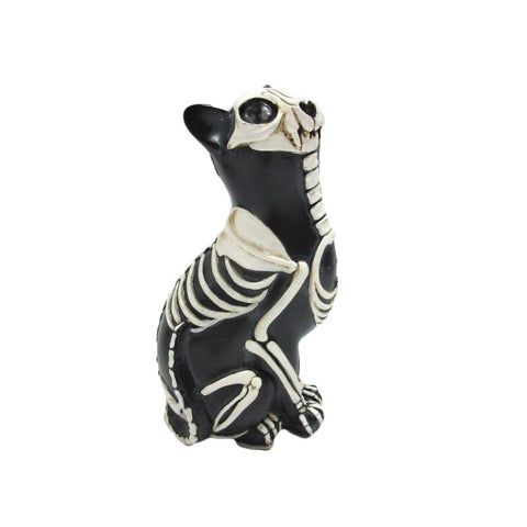 Day of the Dead Cat
